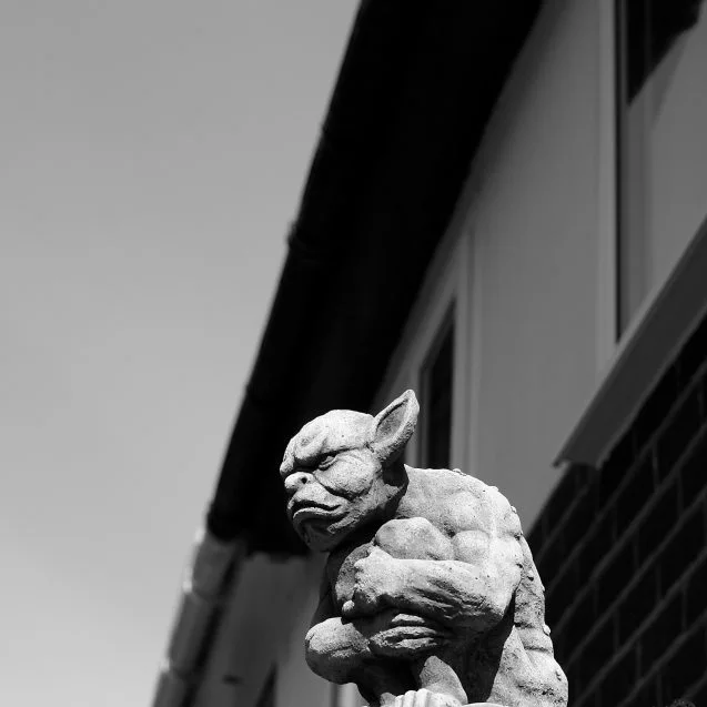 Mr Goyle