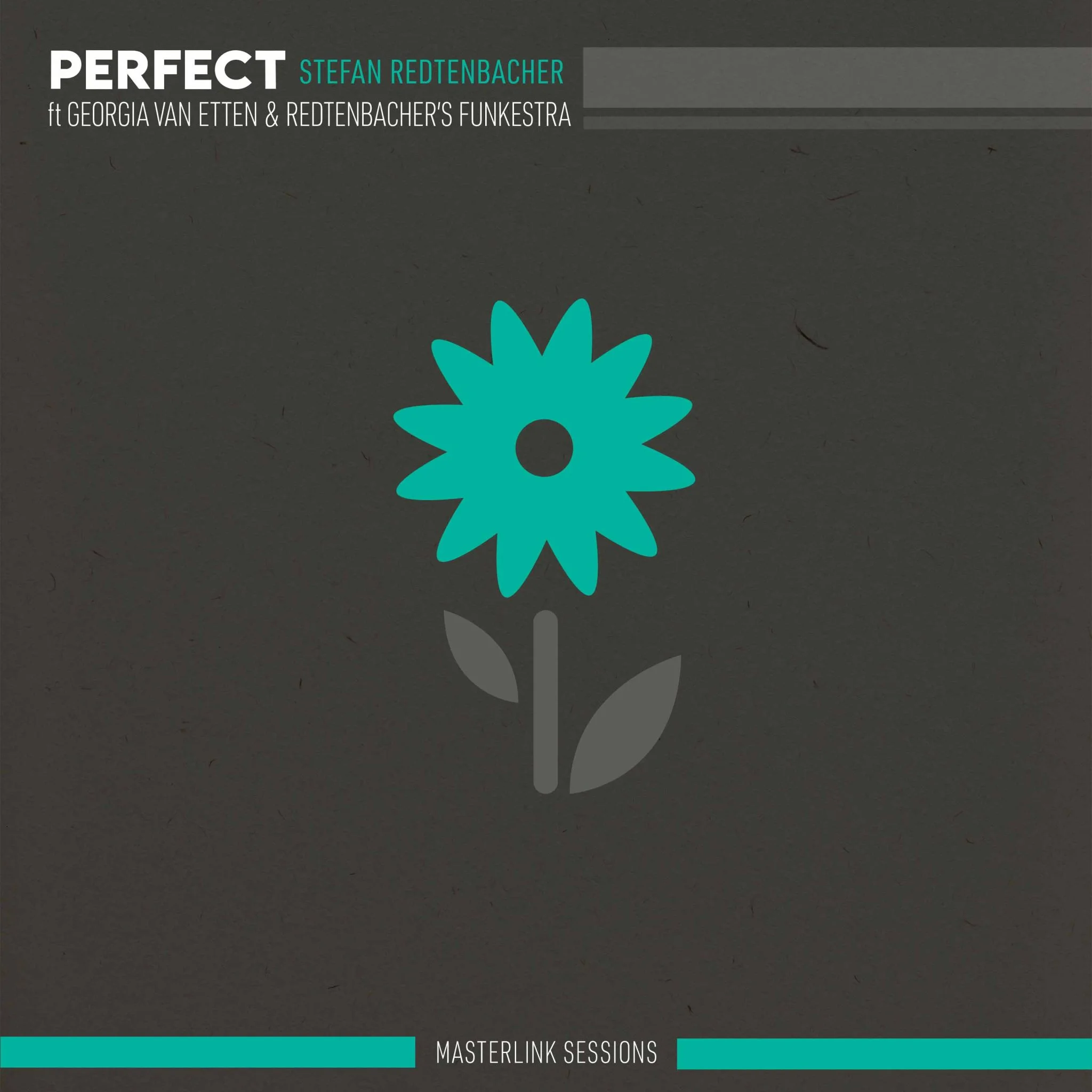 Perfect | Masterlink Sessions | single cover